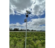 Outdoor Laser Bird Controller used in Vineyard