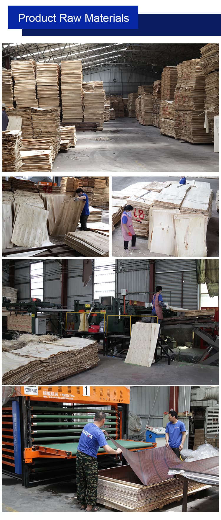 Poplar Core Film faced plywood