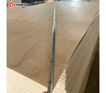 Best quality for usa and canada market pine plywood