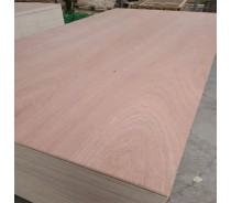 Commercial Plywood Packing and Furniture Grade plywood