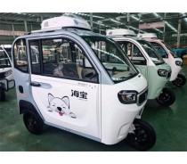 Road Legal Electric Passenger Tricycle