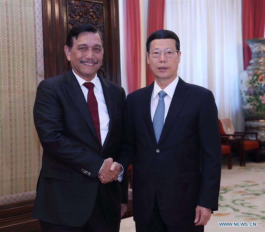 CHINA-INDONESIA-ZHANG GAOLI-LUHUT-MEETING (CN)